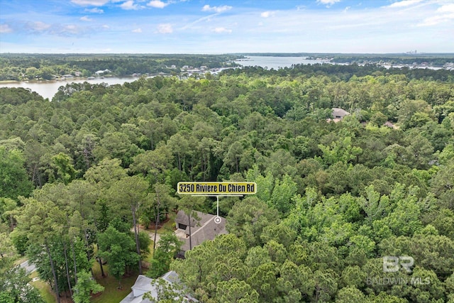3250 Riviere Du Chien Rd, Mobile, AL 36693 - aerial view of property and surrounding area with a forest and a large body of water