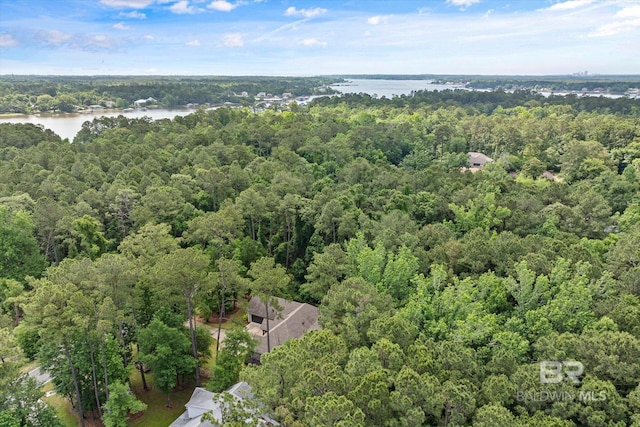3250 Riviere Du Chien Rd, Mobile, AL 36693 - view of property location featuring a forest and a large body of water
