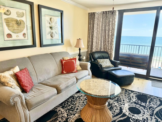 living area featuring ornamental molding, a water view, and wood finished floors