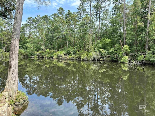 water view