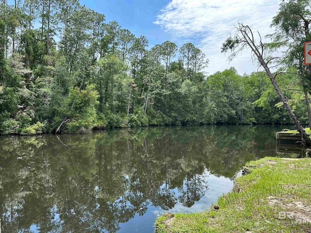 property view of water