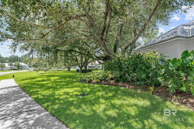 view of yard