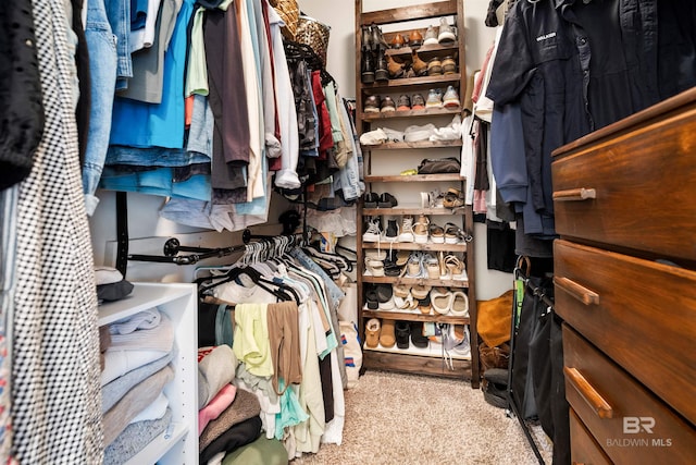 spacious closet with light carpet