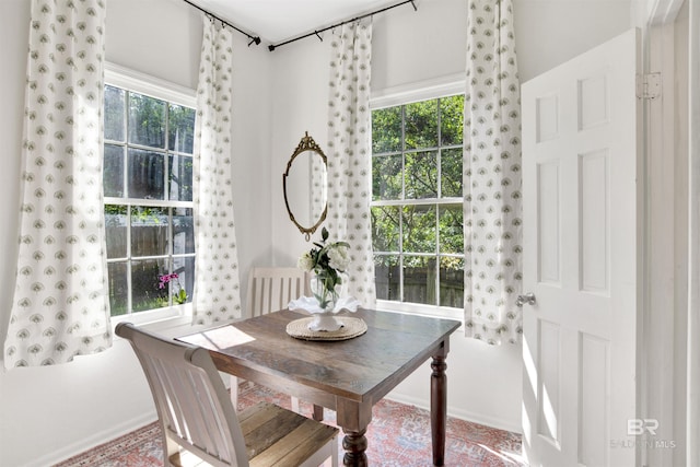 dining area featuring a wealth of natural light