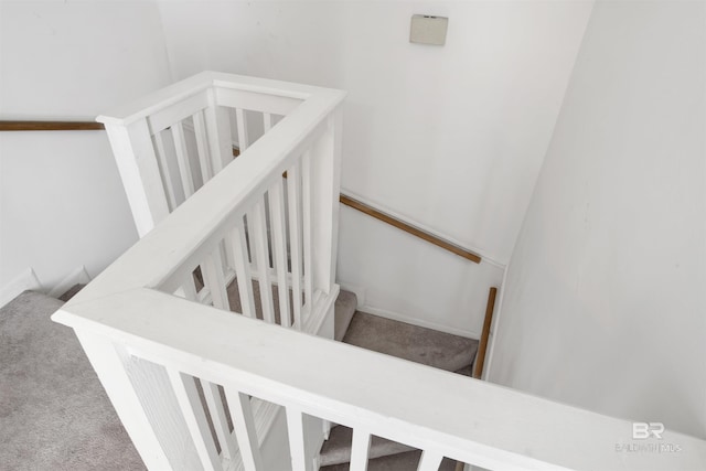 stairway with carpet floors