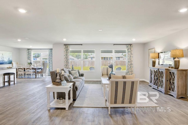 living room with light hardwood / wood-style floors