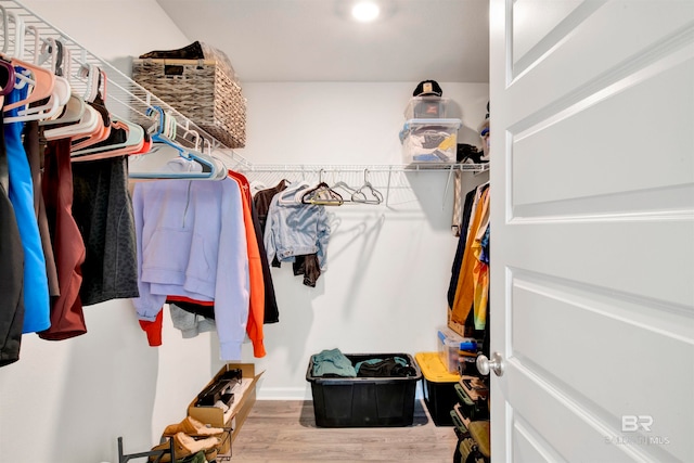 walk in closet featuring wood-type flooring