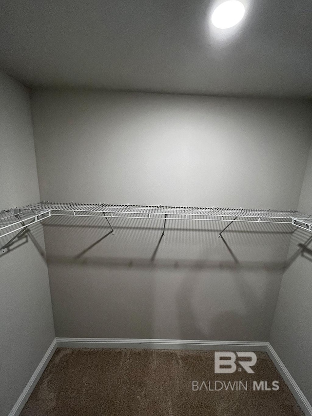 spacious closet featuring carpet