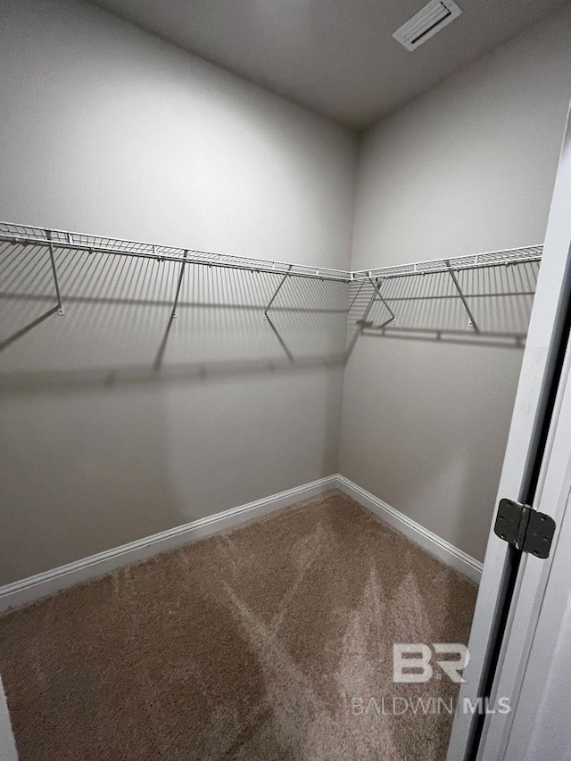 spacious closet with carpet flooring