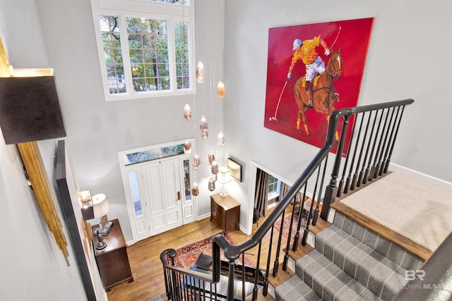 foyer featuring wood-type flooring