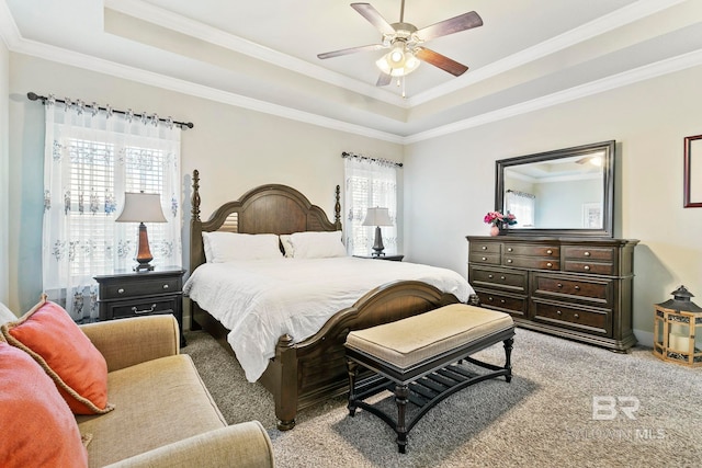 carpeted bedroom with a raised ceiling, ceiling fan, and ornamental molding