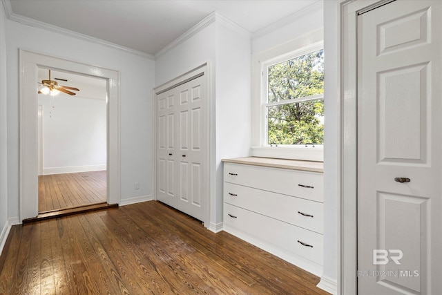 interior space featuring a ceiling fan, baseboards, crown molding, and dark wood-style floors