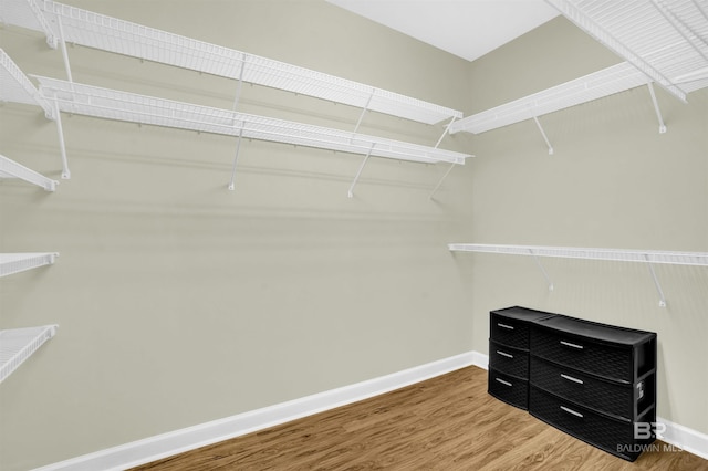 walk in closet with wood-type flooring