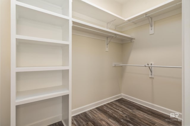 walk in closet with dark wood-type flooring