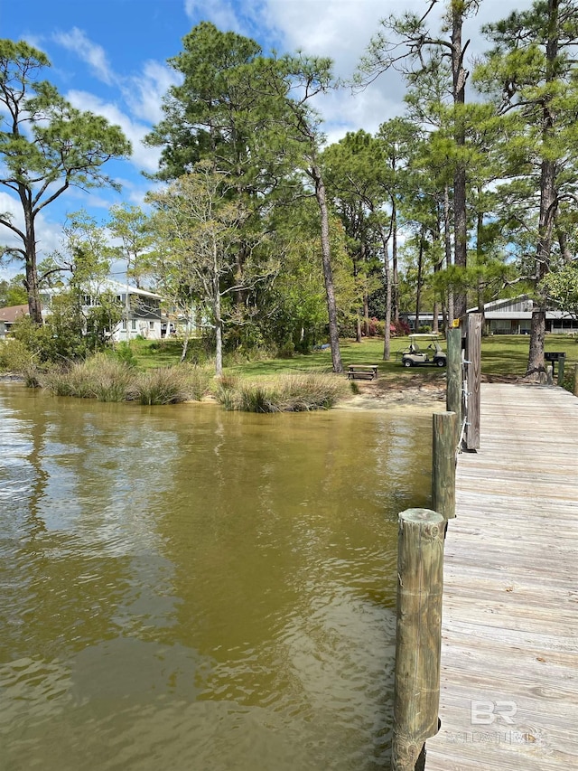 view of dock with a water view