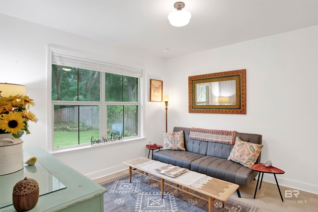 living room featuring wood-type flooring