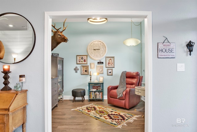 living area featuring hardwood / wood-style floors