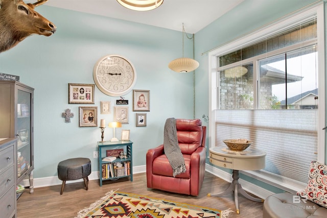 living area with hardwood / wood-style floors