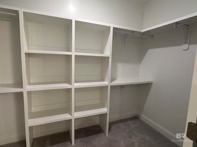 walk in closet with dark colored carpet