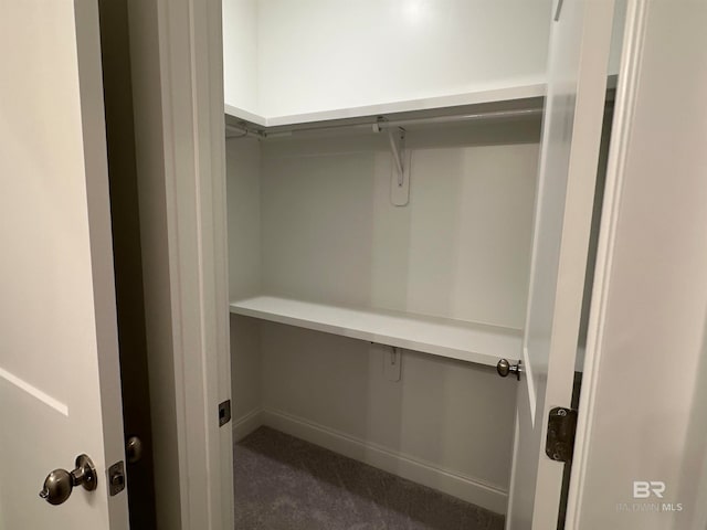 walk in closet with dark colored carpet