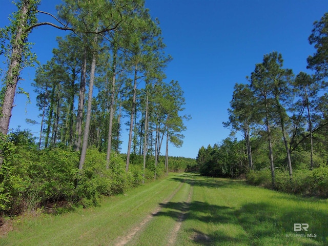 OO County Road 87, Elberta, AL 36530