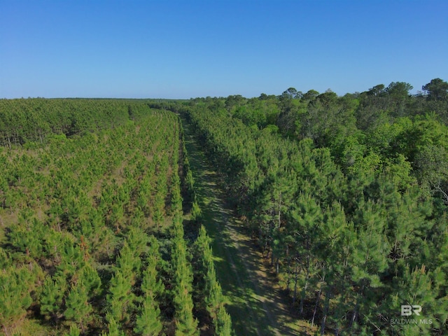 OO County Road 87, Elberta, AL 36530