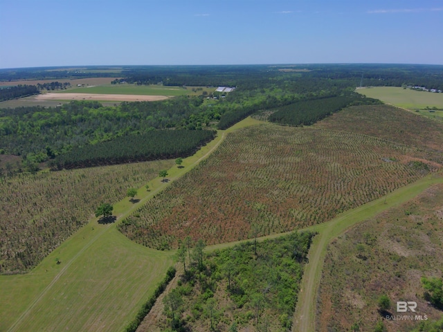 OO County Road 87, Elberta, AL 36530