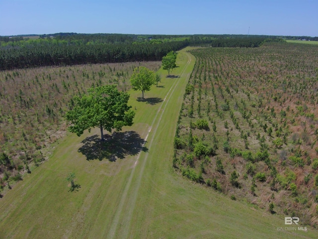 OO County Road 87, Elberta, AL 36530