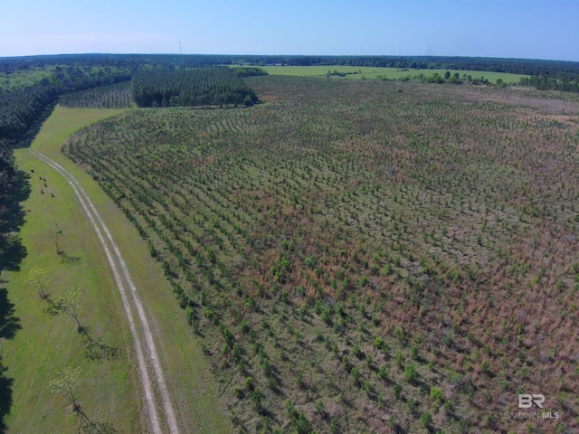 OO County Road 87, Elberta, AL 36530