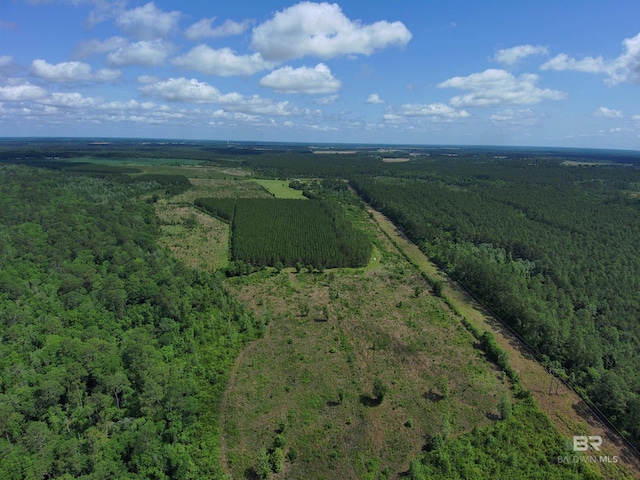 OO County Road 87, Elberta, AL 36530