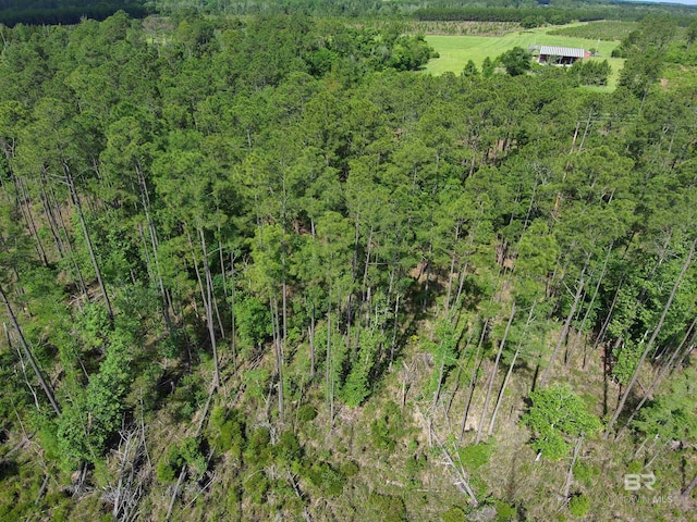 OO County Road 87, Elberta, AL 36530