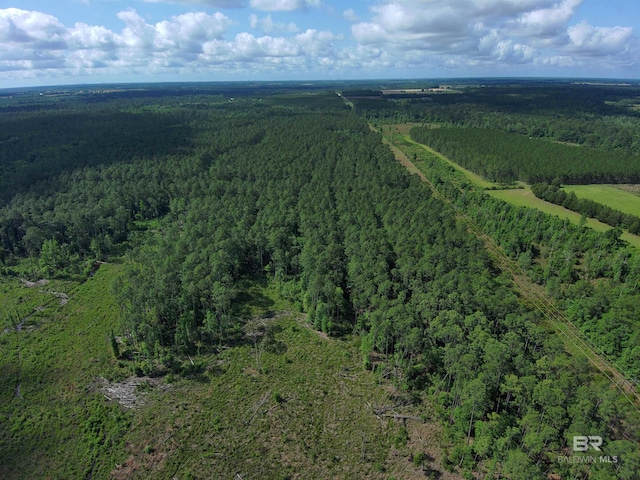 OO County Road 87, Elberta, AL 36530