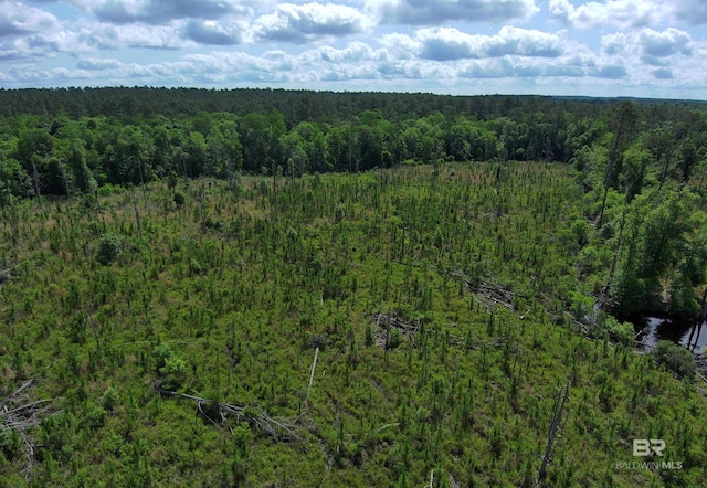 OO County Road 87, Elberta, AL 36530
