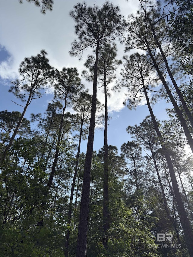 OO County Road 87, Elberta, AL 36530