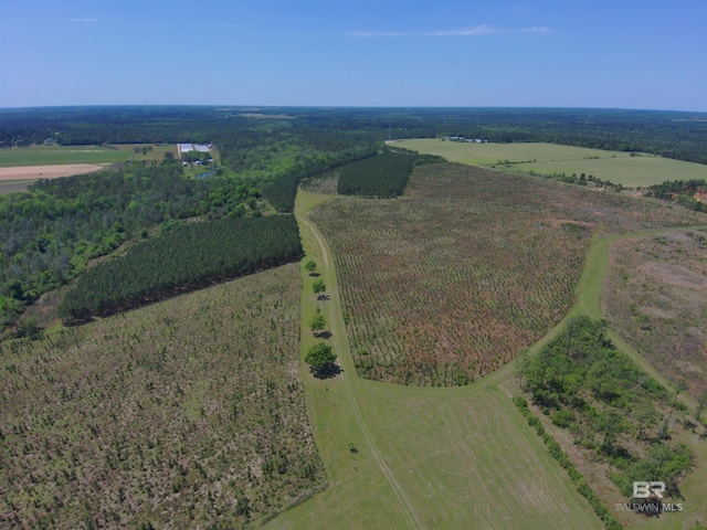 OO County Road 87, Elberta, AL 36530