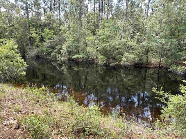 OO County Road 87, Elberta, AL 36530
