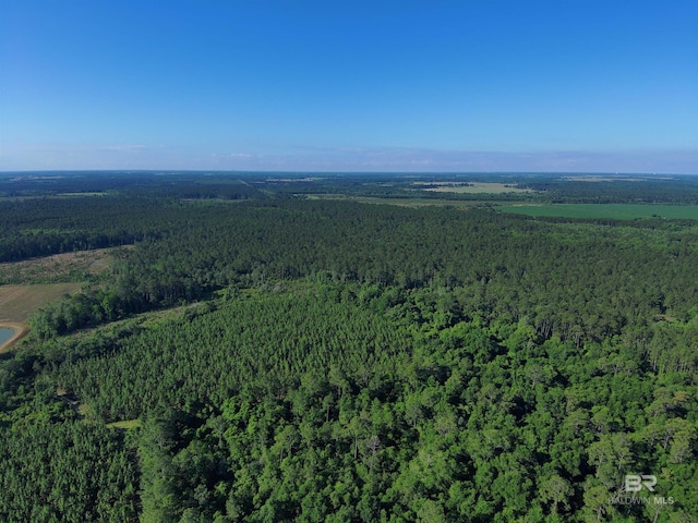 OO County Road 87, Elberta, AL 36530