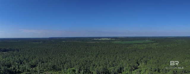 OO County Road 87, Elberta, AL 36530