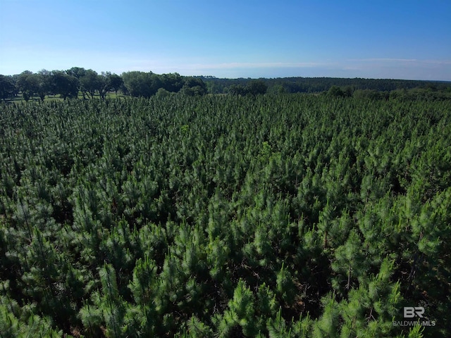 OO County Road 87, Elberta, AL 36530