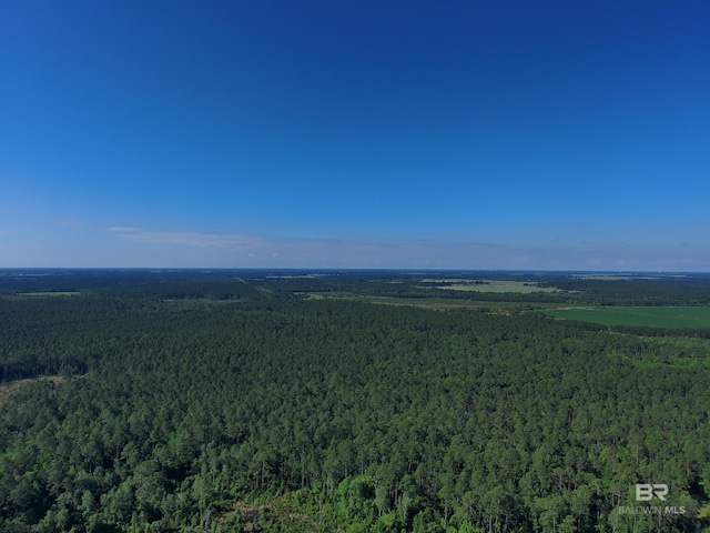 OO County Road 87, Elberta, AL 36530