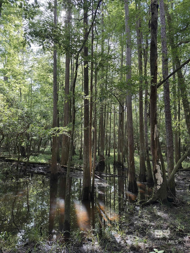 OO County Road 87, Elberta, AL 36530