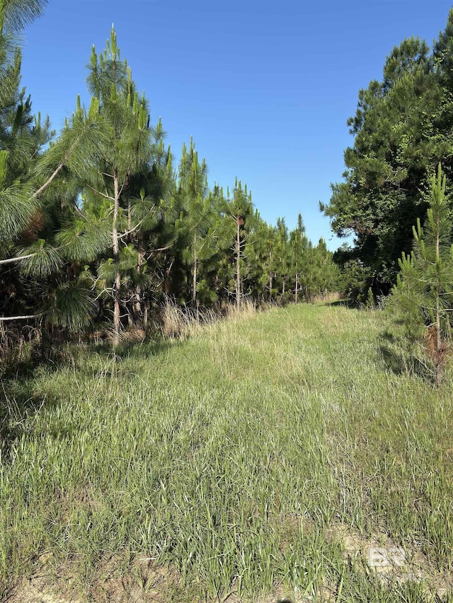 OO County Road 87, Elberta, AL 36530