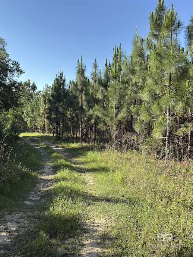 OO County Road 87, Elberta, AL 36530