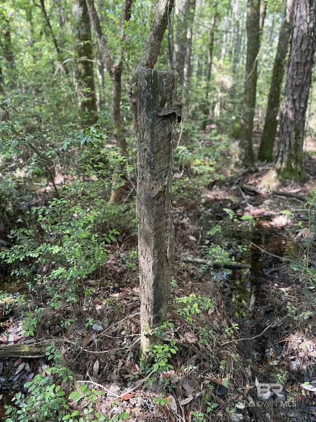 OO County Road 87, Elberta, AL 36530