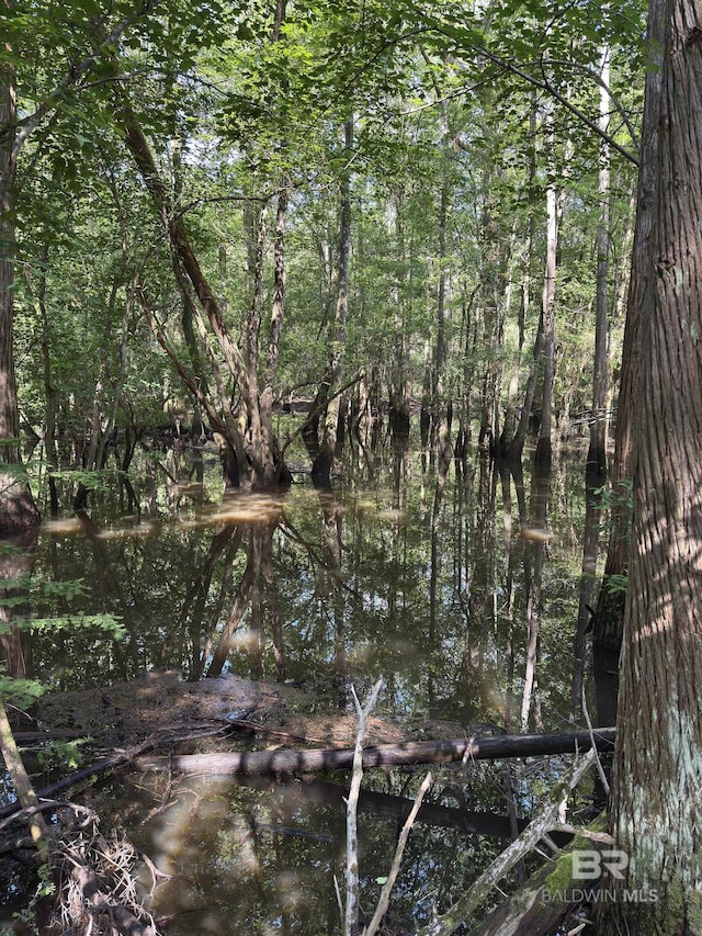 OO County Road 87, Elberta, AL 36530