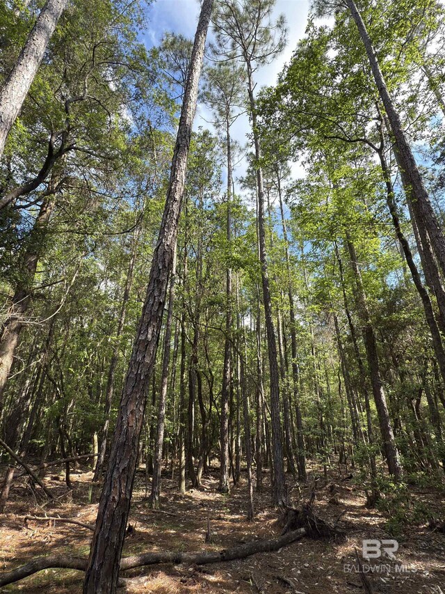 OO County Road 87, Elberta, AL 36530