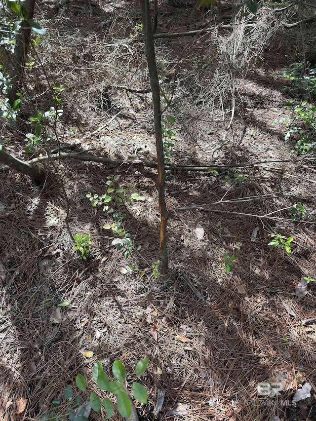 OO County Road 87, Elberta, AL 36530