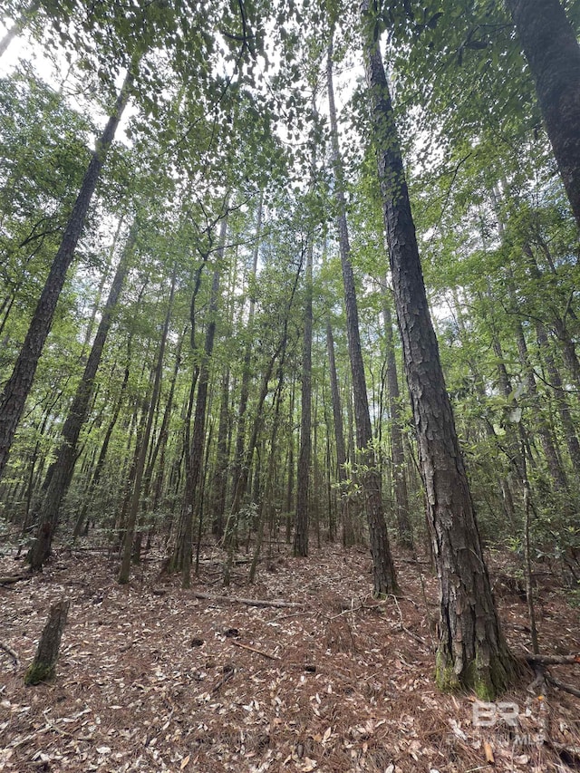 OO County Road 87, Elberta, AL 36530