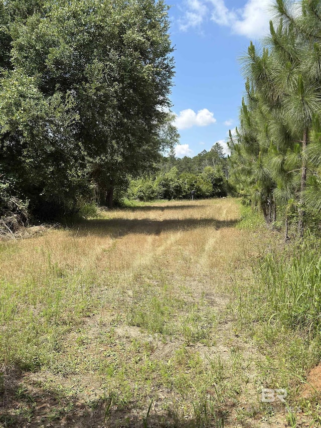 OO County Road 87, Elberta, AL 36530