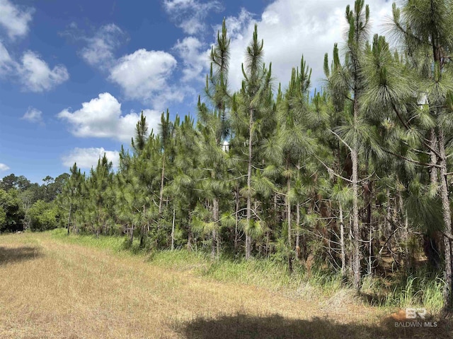 OO County Road 87, Elberta, AL 36530